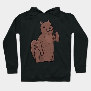 Grumpy Squirrel Holding Middle finger funny gift Hoodie